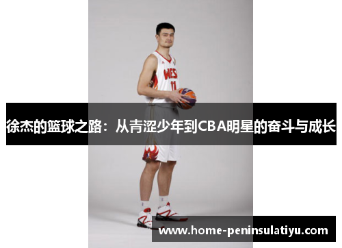 徐杰的篮球之路：从青涩少年到CBA明星的奋斗与成长